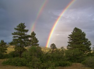 Colo-Mountains-2010003