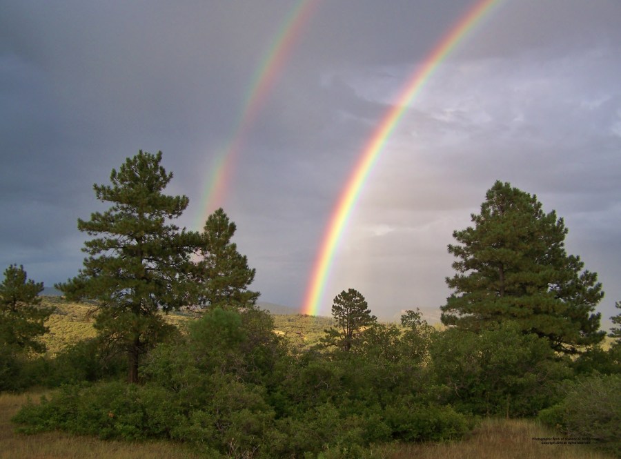 Photographic Work of Shannon R Richardson - Copyright 2015 all rights reserved