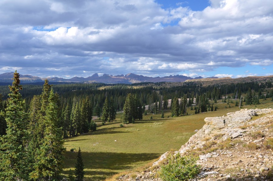 Photographic Work of Shannon R Richardson - Copyright 2015 all rights reserved