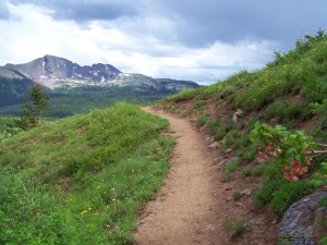 colorado trail