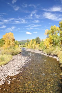 Pine River in Autumn