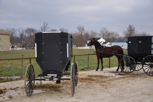 Amish buggy