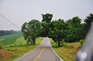 Driving Ohio country road