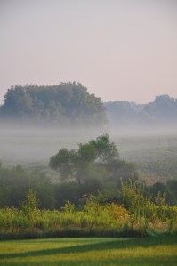Morning mist 3