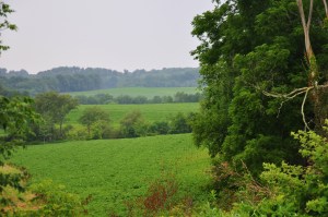 Ohio country view