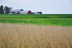 Ohio farm and field