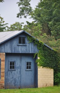 Ohio vine covered shed