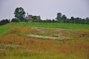 schoolhouse & field
