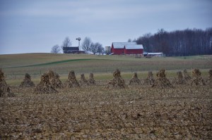 Side of barn and hay field